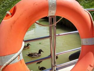 Bateau 6 personnes sans permis terrasse à quai ou Supplément Navigation - 1