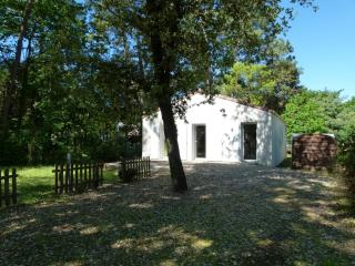 Maison neuve à Jard-sur-Mer, proche plage, forêt, port, 4 pers, WiFi, jardin, plancha - FR-1-336-59 - Jard-sur-Mer - 5