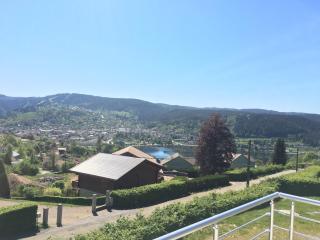 les charmes du lac Sauna et Spa - Gérardmer - 0