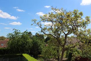 Superbe Appartement Circuit des 3 Chateaux - Folembray - 1