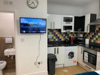 Beautiful Studio apartment with free parking - Ilford - 3