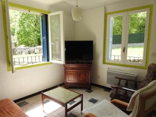 Appartement T1 meublé haut vallespir le Tech - 2