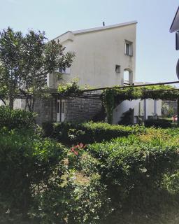 Apartment Dijana - Petrovac na Moru - 3