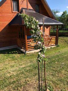 Apartmani Milekić - Mokra Gora - 8