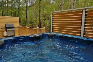 Alpages 9015 -Les Chalets Alpins Stoneham - Stoneham - 4