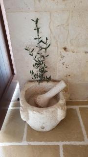DIMORA PATRIZIA - Triggianello - 4