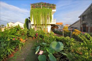 Skybird Homestay - Hoi An - 9