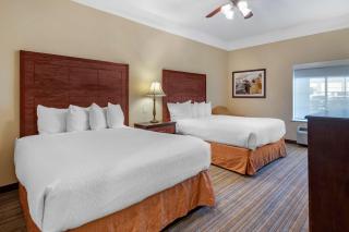 BEST WESTERN PLUS Monica Royale Inn & Suites - Greenville - 6