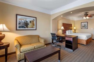 BEST WESTERN PLUS Monica Royale Inn & Suites - Greenville - 8