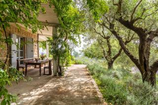 Tenuta Colle Sala - Country House & Suite "The Villa" - Magliano Sabina - 6
