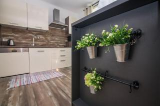 Apartment Traversa - Novalja - 1