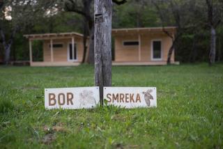 Kamp na Otoku - Ljubno ob Savinji - Ljubno - 1