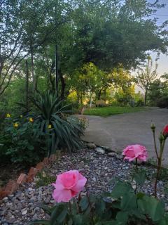 Beehives - Kutaisi - 4