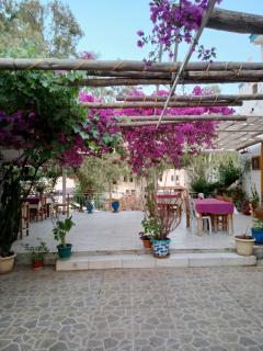 Eucalyptus Pension - Patara - 6
