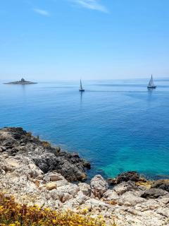 Aurora - ZF Hvar - 9