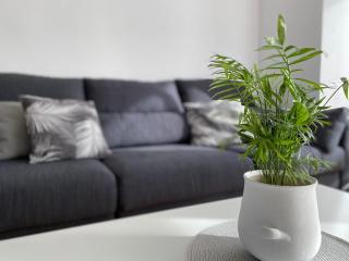 Apartamento Alora - Logroño - 7
