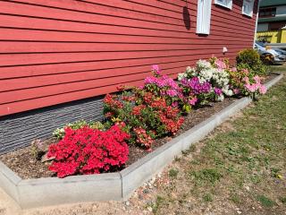 Haus-Elbromantik-Sandau - 9