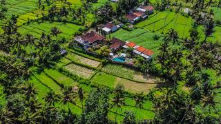 Dana Bali Ricefield Villa - Candidasa - 9
