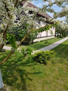 Guest House on Lesnaya - Leski - 1
