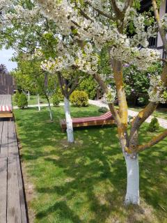 Guest House on Lesnaya - Leski - 3
