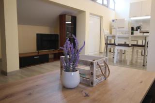 Apartment Happy holiday Lazur - 1