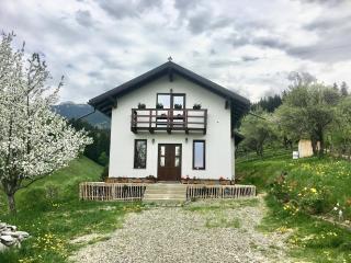 La Căsuță - Bran - 4