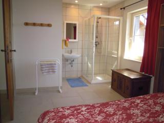 Le Marronnier - Bouillon - 6