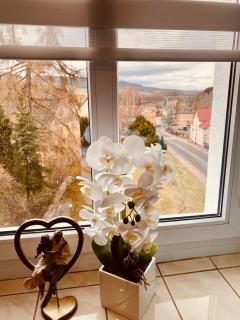 Apartament Przy Rynku - Lewin Kłodzki - 3