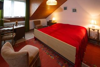 Ferienwohnungen Casa Ri(e)sig - Leiwen - 1
