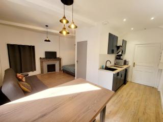 Joli Appartement avec balcon clim - Graulhet - 7