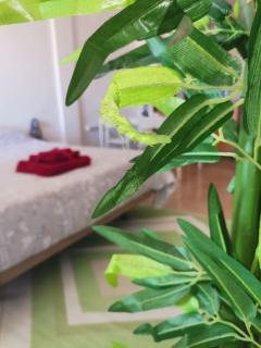 Apartament puerto - Santa Pola - 0