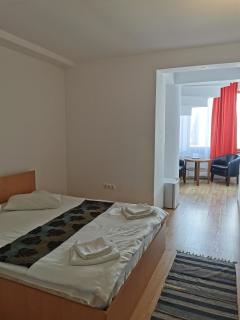 PENSIUNEA HORA - Braşov - 5
