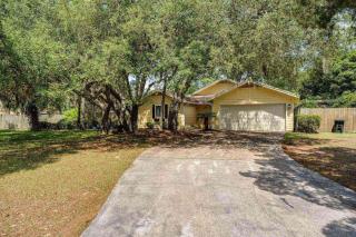 Sunny Lemon - Middleburg - 2