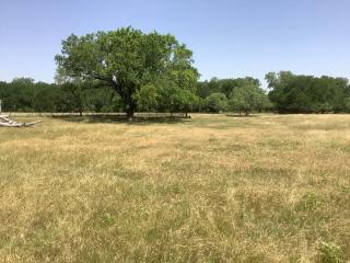 Constantino Farms Campsites Tent Camping - 2