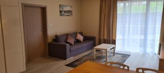 Apartament Czarna Góra Is17 - Sienna - 1