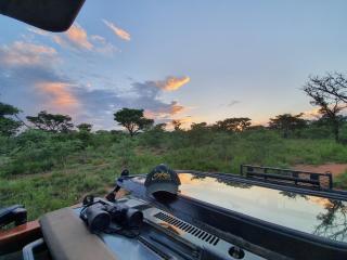 Sekala Private Game Lodge - 9