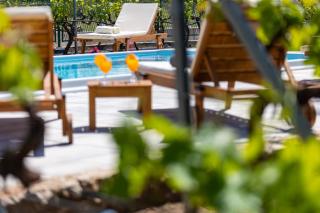 Holiday house Olive Tree - 7