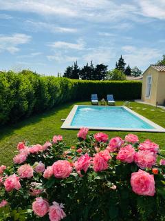 Un coin tropical en Provence ! - LʼIsle-sur-la-Sorgue - 0