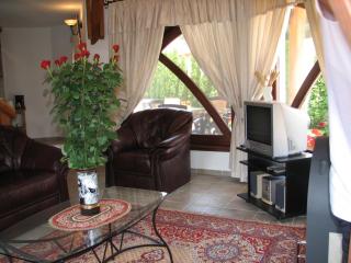 Hajdu Apartman 1. - Hajdúszoboszló - 7