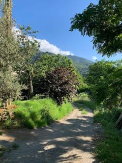 A CANTINA - Ucciani - 8