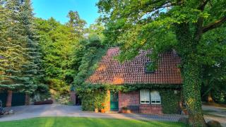 4 Sterne-Haus am See - Waren - 5