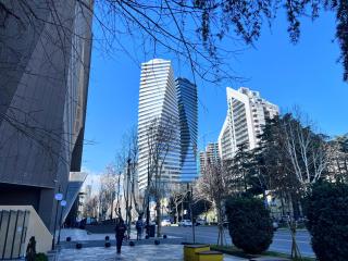 Apartment in AXIS TOWERS, Tbilisi business center - Tbilisi - 8