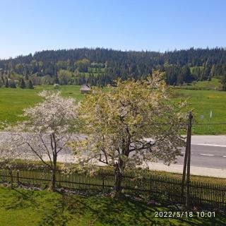 Dwa Widoki Apartamenty - Zubrzyca Górna - 6