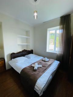 IURI udesiani's GUESTHOUSE - 9