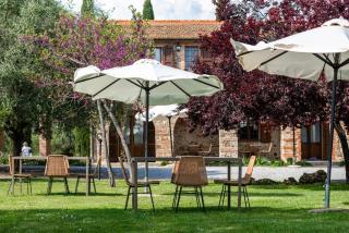 Tenuta Il Cicalino - Massa Marittima - 5