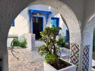 OLIVIA Guest House (Eya & Abbes) - Sidi Bou Saïd - 3