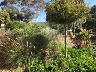 Birdsong Gardens - Quorn - 3