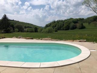 Havre de paix dans le Jura Alsacien avec piscine privée externe de mai à septembre - Bendorf - 7