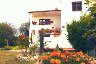 Apartment in Sisan - Istrien 41776 - 3