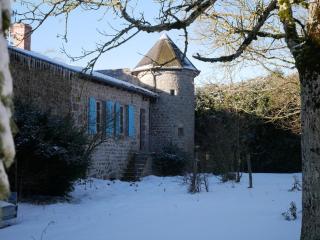 Gîte charmant avec cheminée et jardin à Marlhes, proche commodités et sentiers de randonnée - FR-1-496-55 - Marlhes - 7